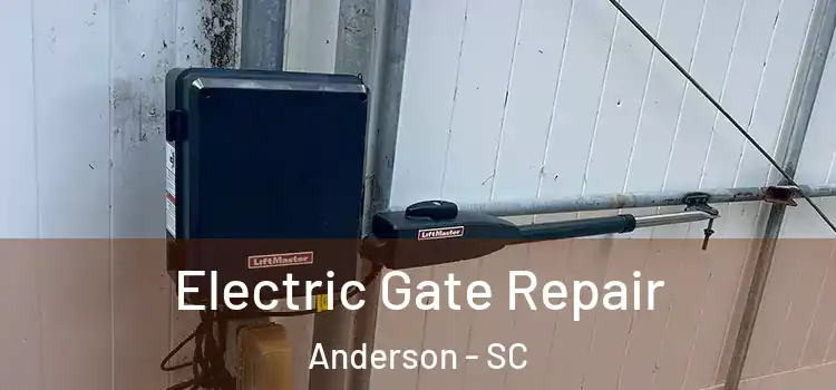 Electric Gate Repair Anderson - SC