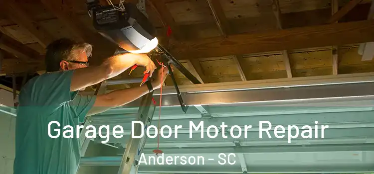  Garage Door Motor Repair Anderson - SC