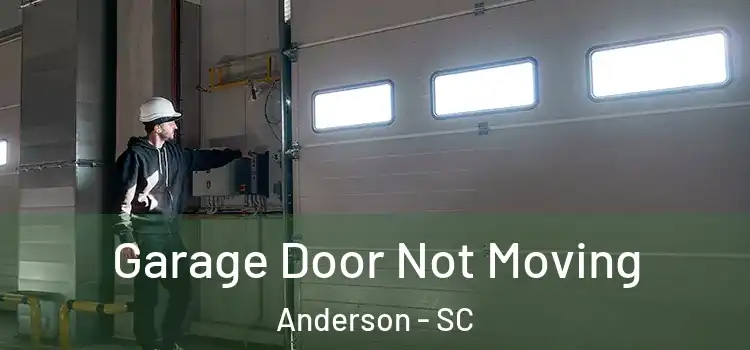  Garage Door Not Moving Anderson - SC