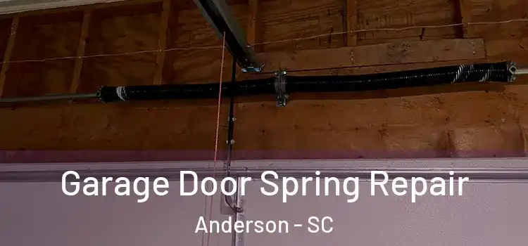  Garage Door Spring Repair Anderson - SC