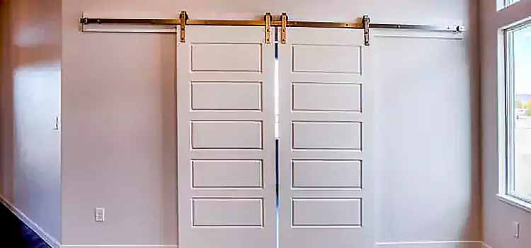Glass Barn Door with Installation Hardware Kit Anderson