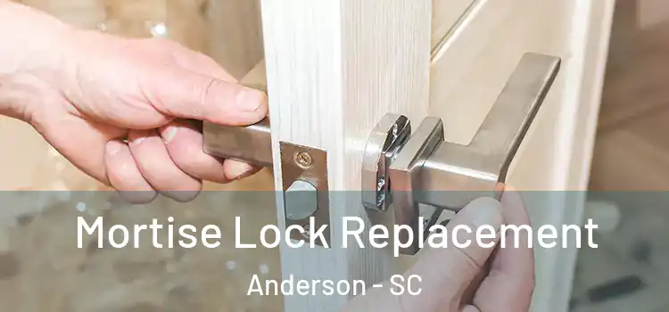 Mortise Lock Replacement Anderson - SC