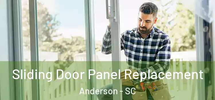  Sliding Door Panel Replacement Anderson - SC