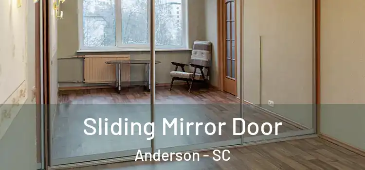 Sliding Mirror Door Anderson - SC